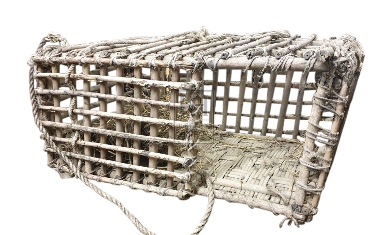 Large woven rustic cage