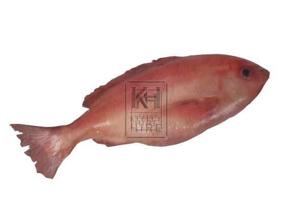 Large red rubber fish