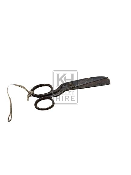 Metal Shearing Scissor