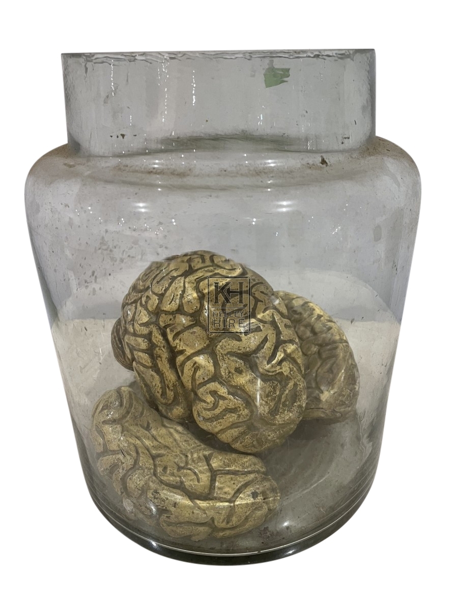 Brains In A Jar