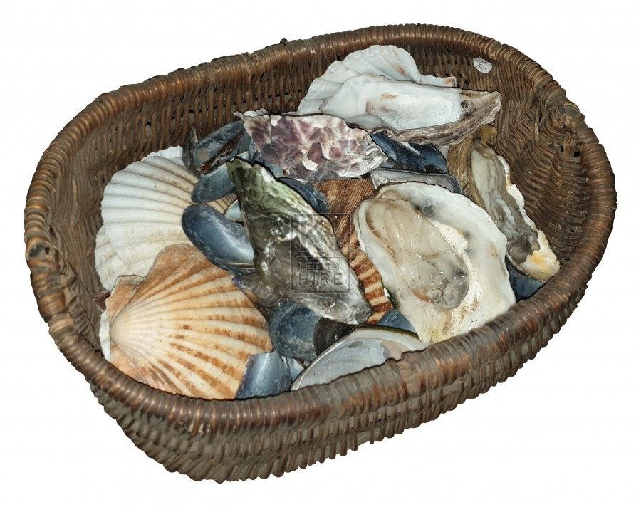 Small basket of oyster shells