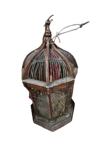 Shaped brown bird cage
