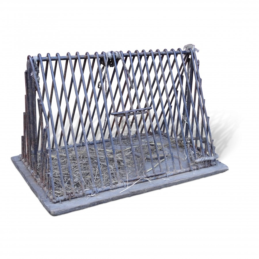 Pointed iron cage
