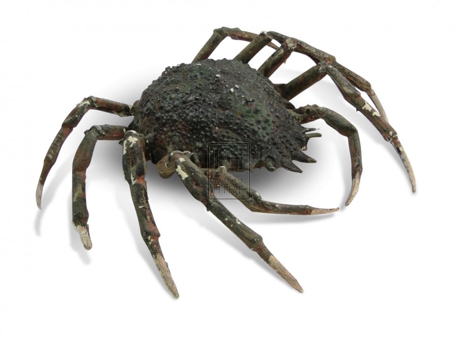 Crab - Spider