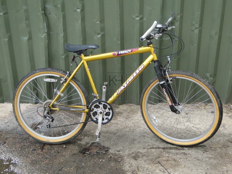 Gold Mountain Bicycle