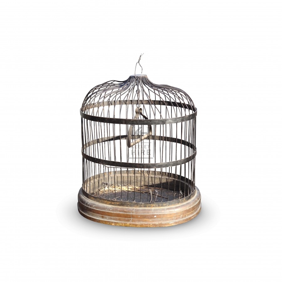 Iron bird cages