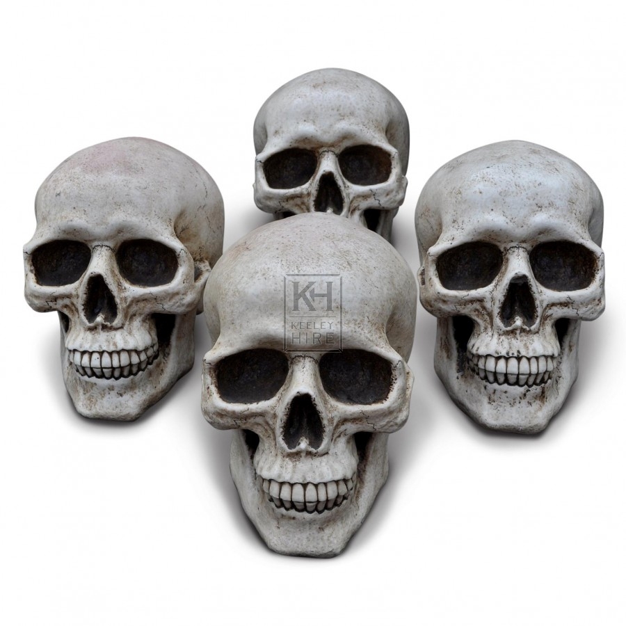 Skulls - Resin