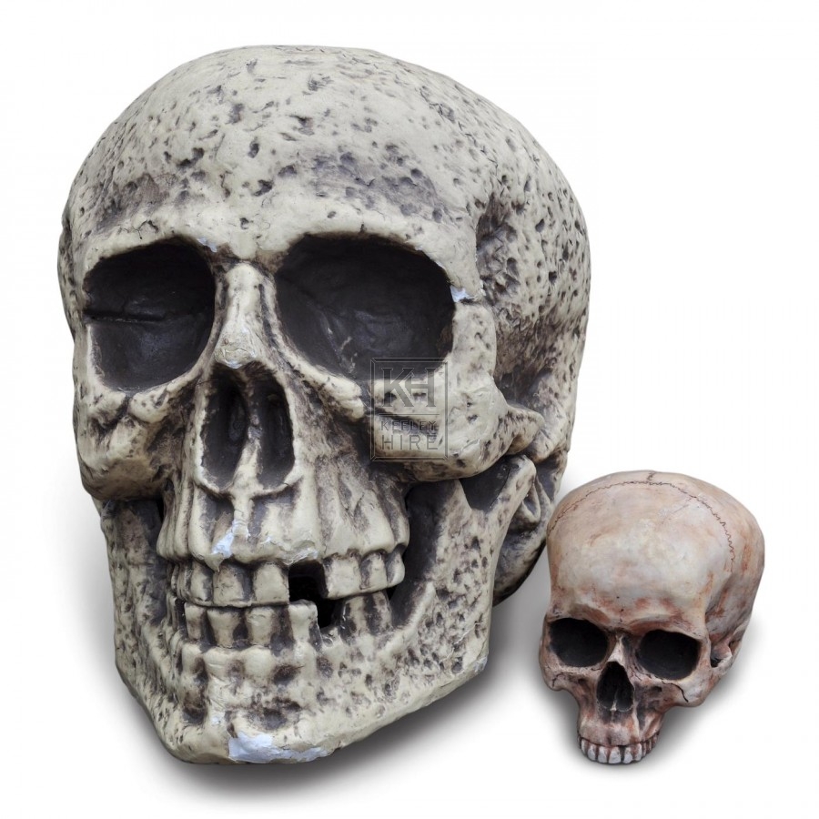 Skull - Oversized