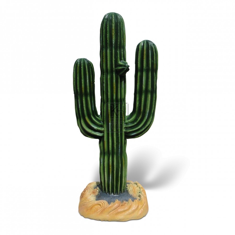 Half-size Cactus