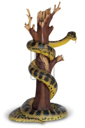 Anaconda on a tree