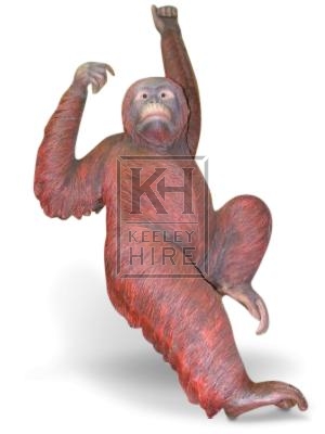 Orangutan Life-size