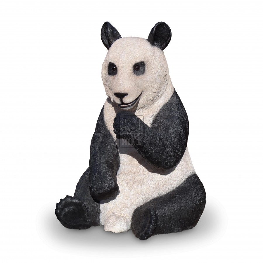 Panda Sitting life-size