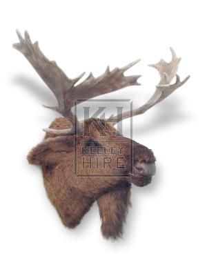 Furry Moose Head