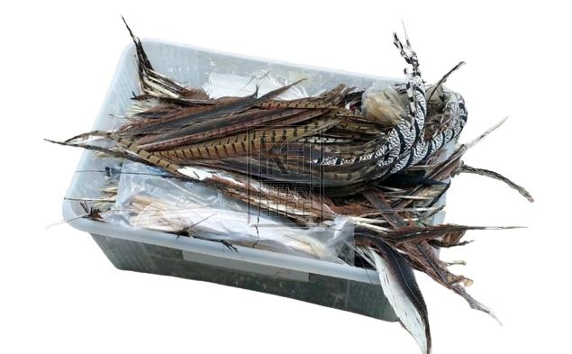 Crate of feathers
