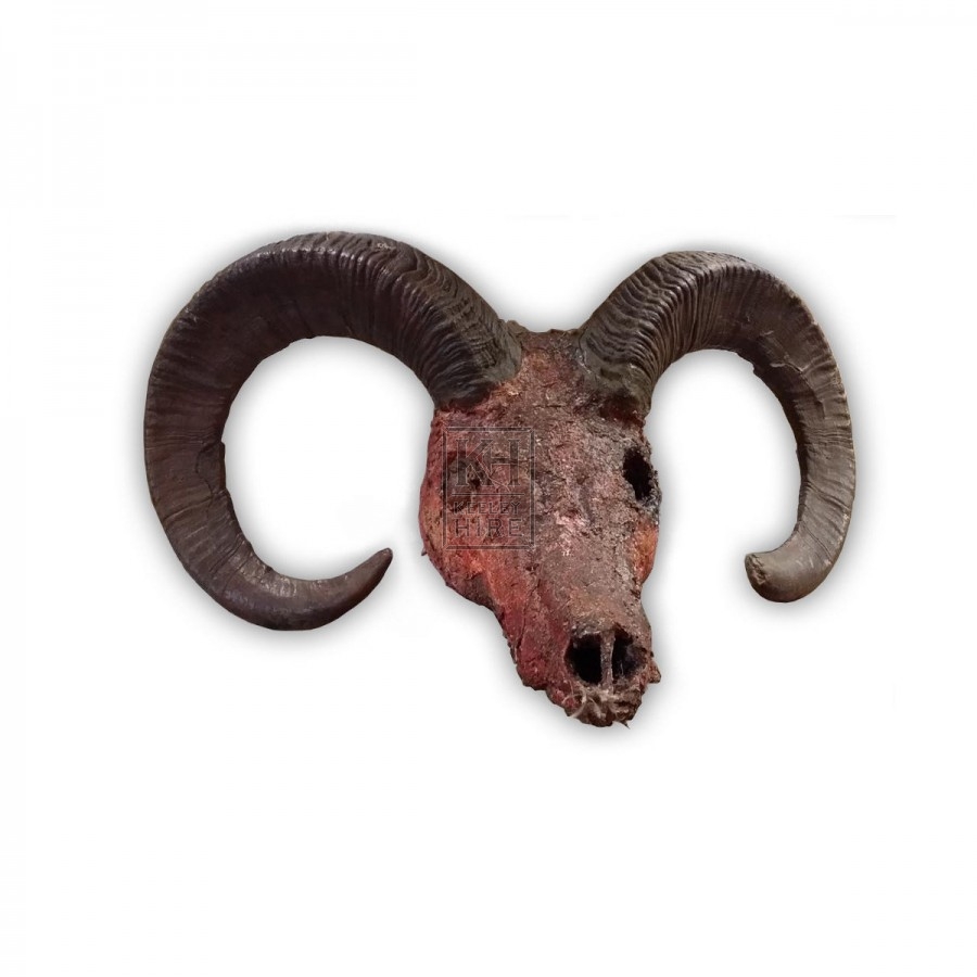 Bloodied rams head with horns