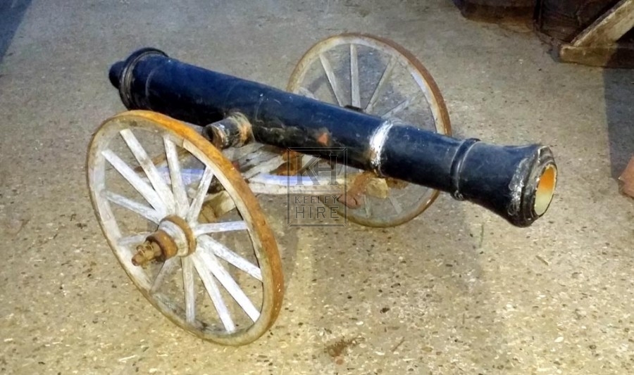 Early Cannon