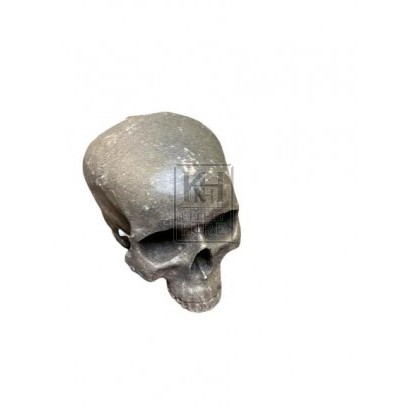 Resin Skull With Back Smashed