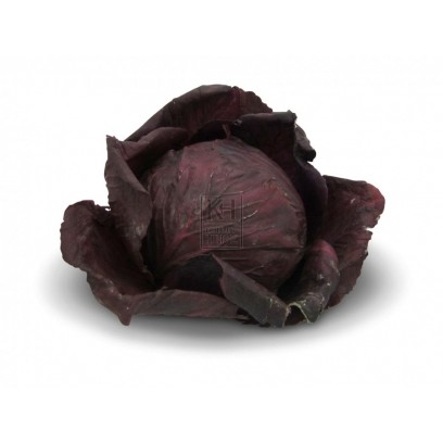 Red Leafy Cabbage