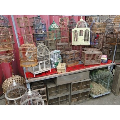 Oriental bird cage market stall