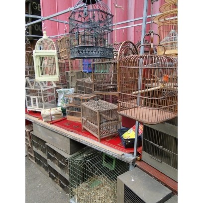 Oriental bird cage market stall