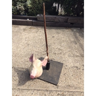 Pigs Head on Pike