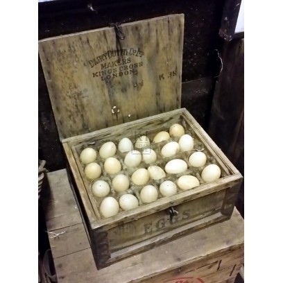 Period wood egg box with eggs