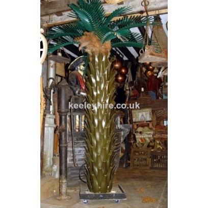 Large palm tree