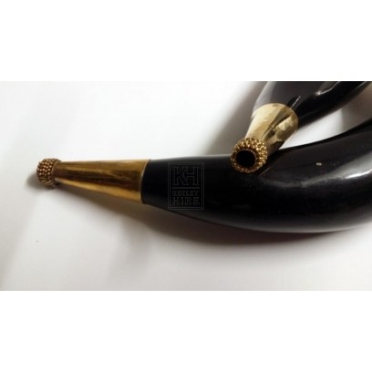 Horn with brass end
